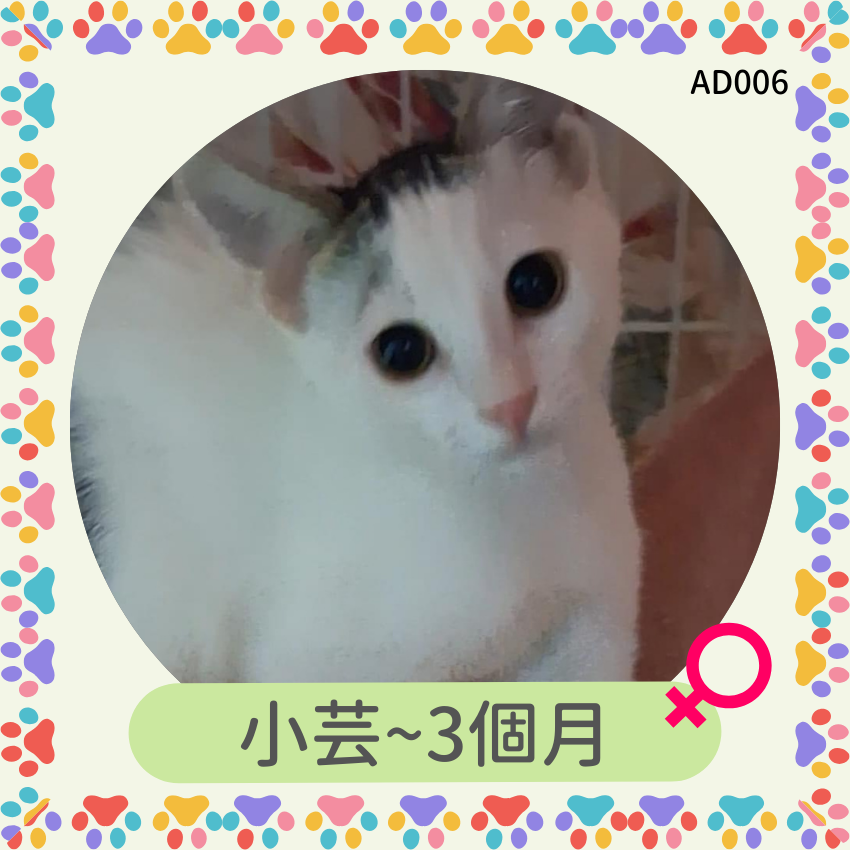 小芸